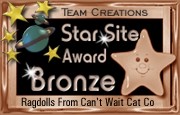 Bronze Award