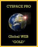 CYSPACE PRO Gold Award